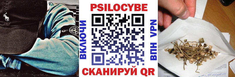 что такое   Оленегорск  Псилоцибиновые грибы ЛСД 